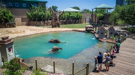 McNair Elephant Habitat Area - The Houston Zoo