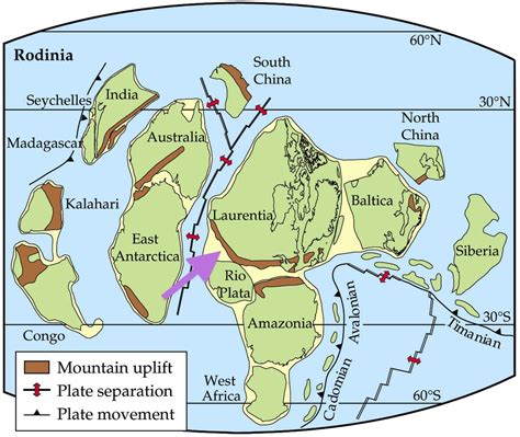 Breakup and dispersal of the Rodinia supercontinent in a 750 Ma reconstruction. My purple arrow ...