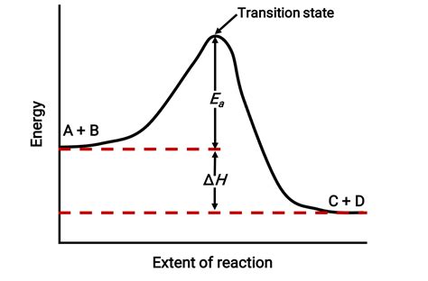 Effect of Temperature on Reaction Rate, Arrhenius Equation and Collision Theory (Video) | JoVE