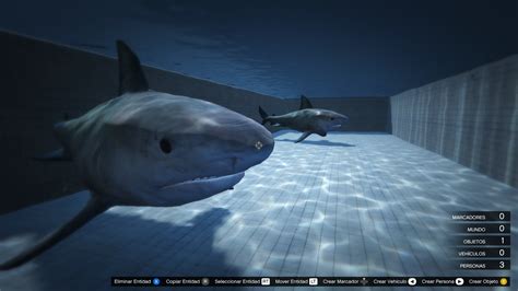 Gta 5 Shark On Land