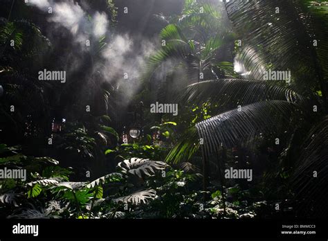 Tropical Garden, Atocha station, Madrid, Spain Stock Photo - Alamy