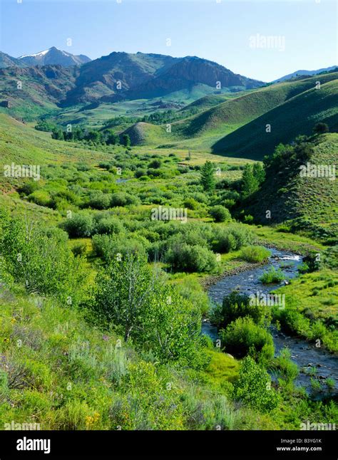 JARBIDGE WILDERNESS, NEVADA. USA. Marys River in Marys River Basin ...