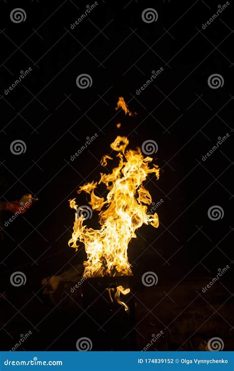 Danger Fire on a Dark Background. Background from Fire Stock Photo - Image of isolated, fiery ...