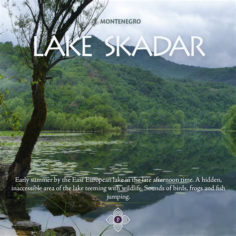 Mighty Lake Skadar | Earth Experience