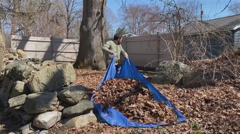 Raking leaves: How to do it quicker and easier | wfmynews2.com