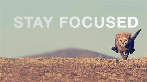 Stay Focused Desktop Wallpapers - Wallpaper Cave