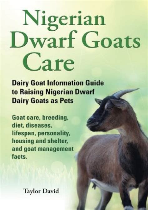 Nigerian-Dwarf-Goats-Care-Dairy-Goat-Information-Guide-to-Raising-Nigerian-Dwarf-Dairy-Goats-as ...