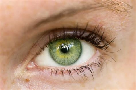 How Eye Color Is Potentially Linked To Personality Traits - Go-Viral.com