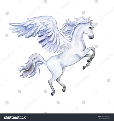 Pegasus with wings isolated on white background. White Horse. Watercolor. Illustration. Template ...