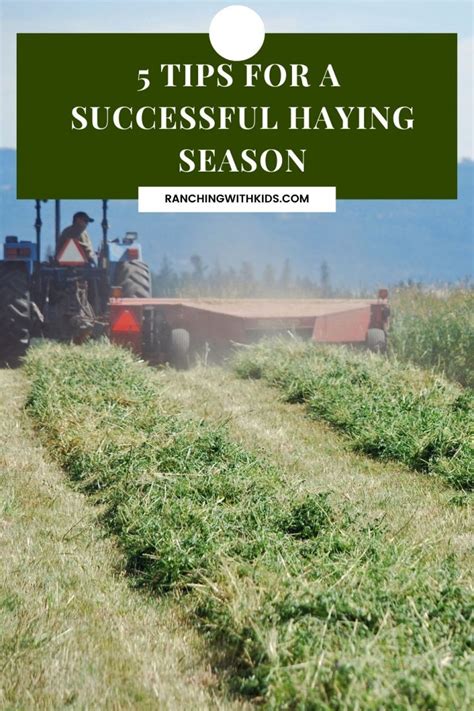 5 Tips to Help with a Successful Haying Season - Ranching with Kids