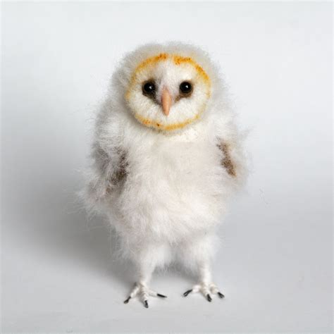 Cute Fluffy Baby Owls