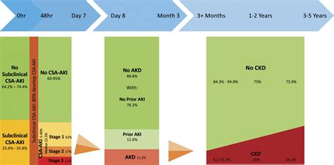 Adverse renal effects associated with cardiopulmonary bypass - Benjamin Milne, Tom Gilbey, Filip ...