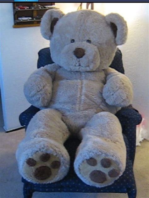 GIANT TEDDY BEAR COSTUME | Teddy bear costume, Teddy bear, Giant teddy bear