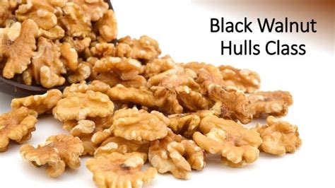 Black walnut-hulls-class