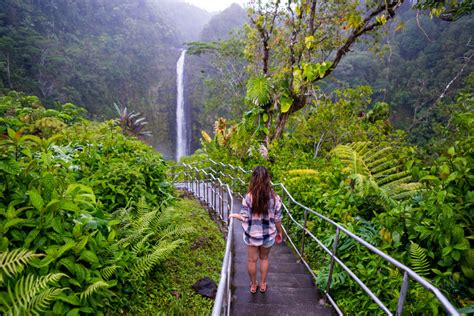 Akaka Falls Hike, the most beautiful waterfalls on Big Island, HI - That Adventure Life