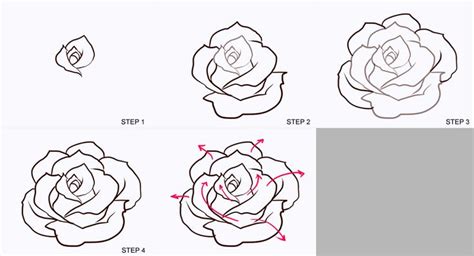 roses drawing step by step - Google Search | M | Pinterest | Easy to draw rose, Simple rose and ...