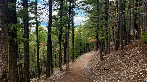 Top 5 Hiking Trails in Helena, Montana — Dirt Trail Junkies