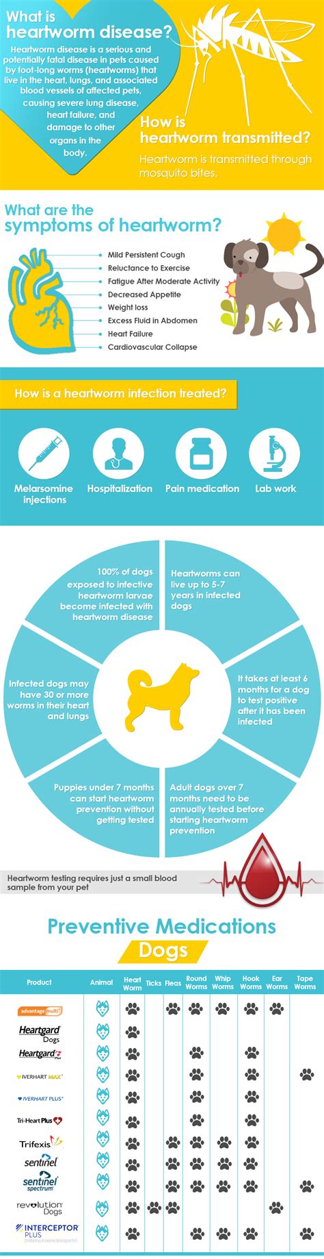 Free Heartworm Disease Info-Graphic Chart for Dogs - Allivet Pet Care Blog