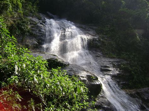 A Guide To Exploring Tijuca Forest, Rio De Janeiro