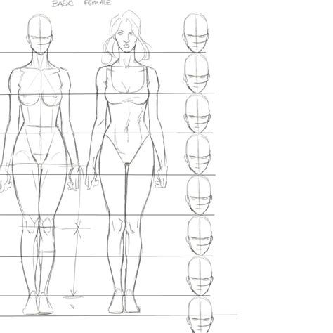 Face Proportions Drawing, Drawing Body Proportions, Drawing Female Body, Human Anatomy Drawing ...