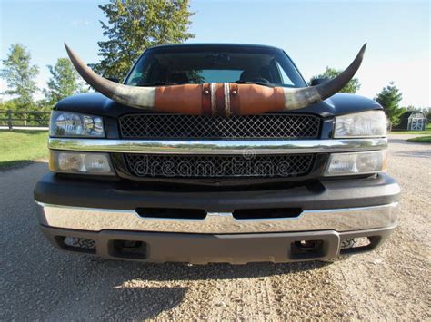 Mounted Bull Horns For Car On Wholesale | www.og6666.com