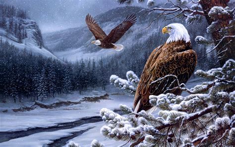 Bald Eagle Wallpapers - Wallpaper Cave