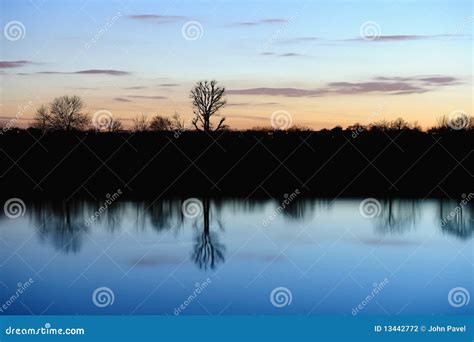 Bare Trees Reflected in a Still River at Sunset Stock Photo - Image of ...