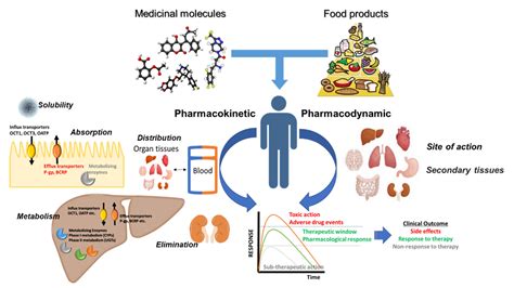 Applied Sciences | Free Full-Text | Drug-Food Interactions with a Focus ...