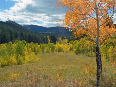 'There was no bear attack' in Golden Gate Canyon Park: Colorado Parks ...