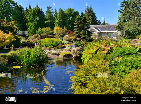 Rock garden and pond, Royal Botanic Garden, Edinburgh, Scotland, UK ...