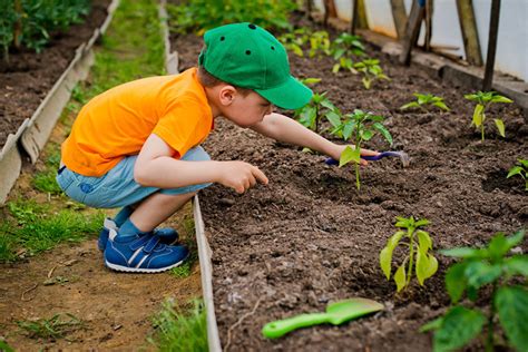 11 Best Plants for Kids to Grow - Garden Lovers Club