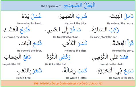 50 Common Arabic Regular Verbs | Ibnulyemen Arabic