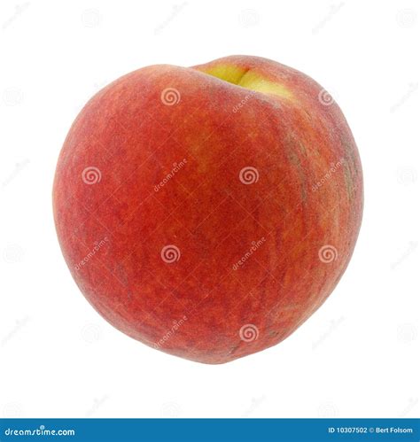 Single peach stock photo. Image of orchard, food, deep - 10307502