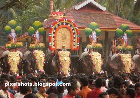 Temple Festivals&Decorated Elephants-Kerala|PixelShots:Kerala Travel ...