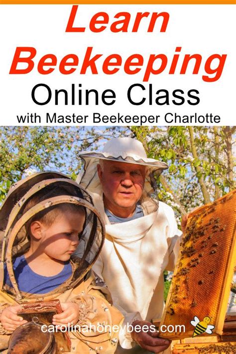 Beekeeping Class Online for Beginners | Bee keeping, Backyard beekeeping, Bee keeping supplies