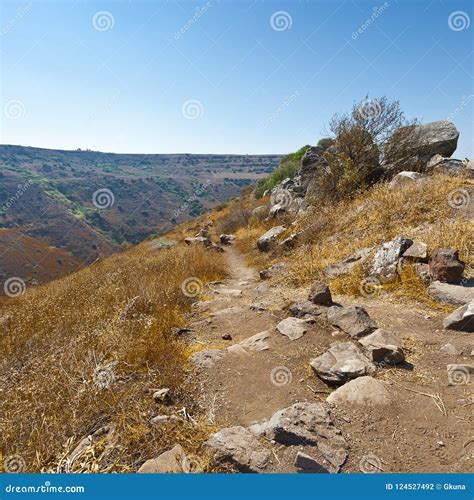 Nature Reserve Located in the Golan Heights Stock Photo - Image of ...