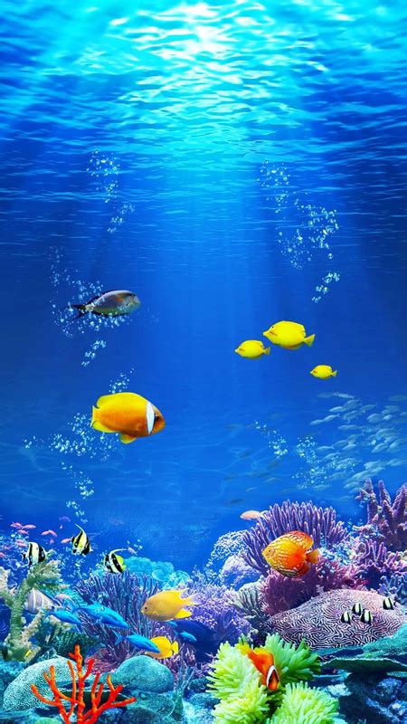 Aquarium Live Wallpaper, Underwater Wallpaper, Ocean Wallpaper, Scenery Wallpaper, Aquarium ...