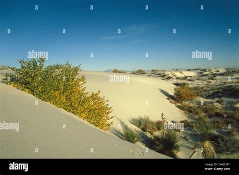 desert landscape in White Sands National Monument, New Mexico Stock Photo - Alamy