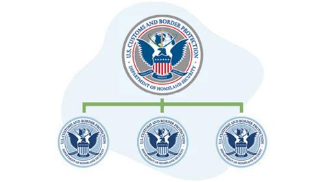 Cbp Organizational Chart