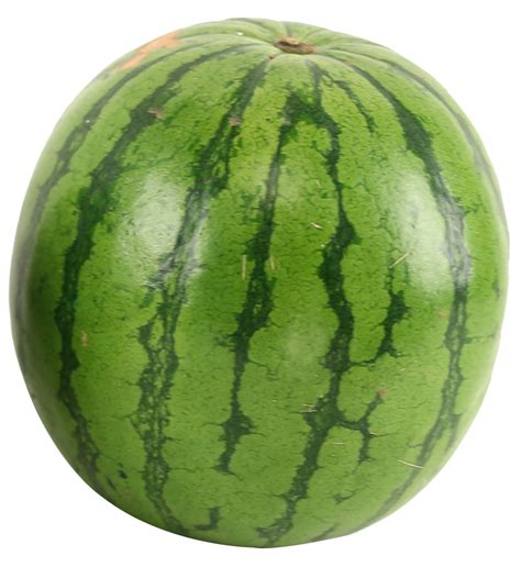 Watermelon PNG Image - PurePNG | Free transparent CC0 PNG Image Library