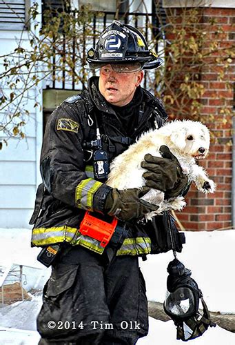 firemen rescue dog from fire « chicagoareafire.com