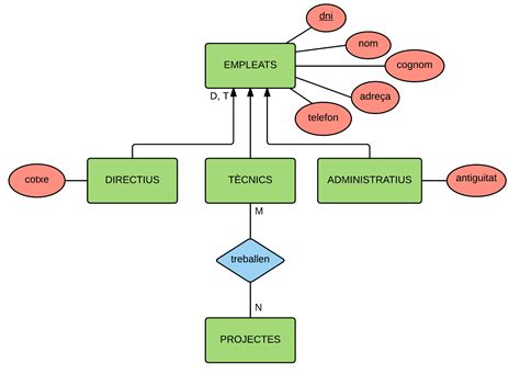 Examples Of Er Diagram | ERModelExample.com