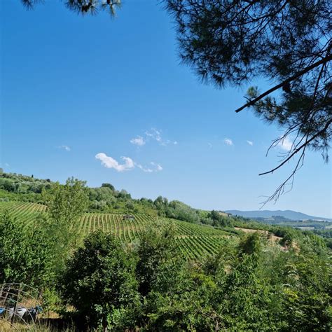 Catalano Viticoltori - Three wines tasting and tour at Catalano Viticoltori in Sicily ...