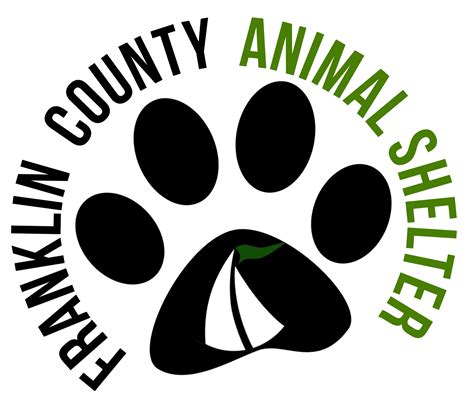 Pets for Adoption at Franklin County Animal Shelter, in Rocky Mount, VA ...