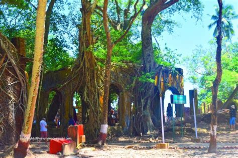 Exploring Ross Island, Andaman, India - The Revolving Compass