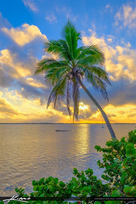 Coconut Palm Tree Over Indian River Jensen Beach Florida Sunrise | HDR Photography by Captain Kimo