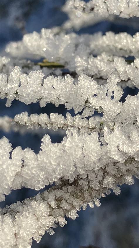 Snow crystals, me, photography , 2022 : r/Art