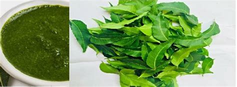 Neem Leaves Powder | NILA GLO