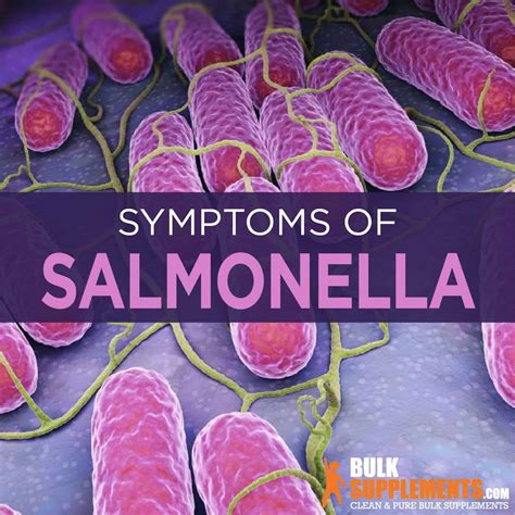 Salmonella Natural Treatment at Ralph Hallett blog