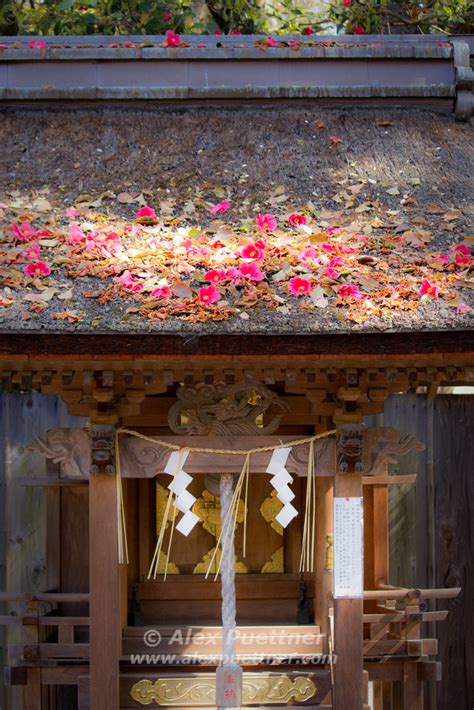 Shrine inside the Imperial Palace | A shinto shrine inside t… | Flickr